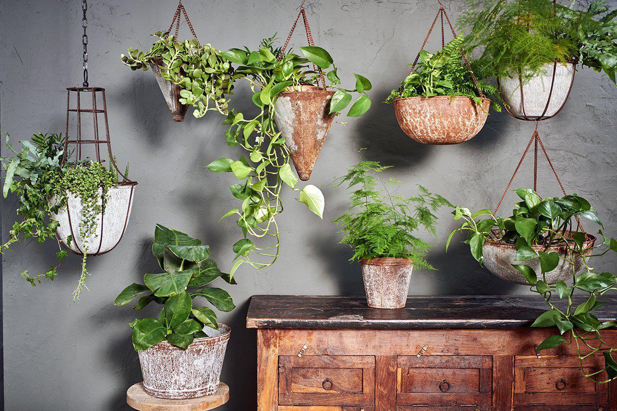 Abari Round Hanging Planter - Image 3