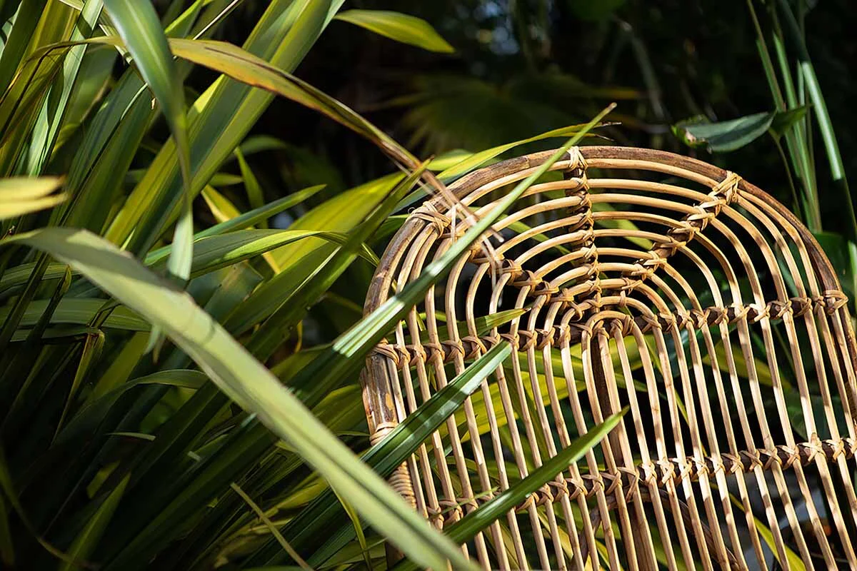 Arlia Rattan Lounger - Image 5